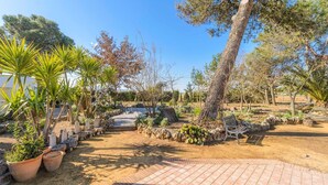 Un jardín ajardinado con senderos, bancos y diversas plantas.