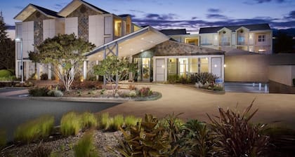 Studio Suite with Kitchen