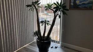 A potted plant with a tall, spiky trunk and broad leaves in a corner by a window with vertical blinds. - Main Street Loft/Luxury 2nd Floor 1100 sq ft Condo (Cottonwood)