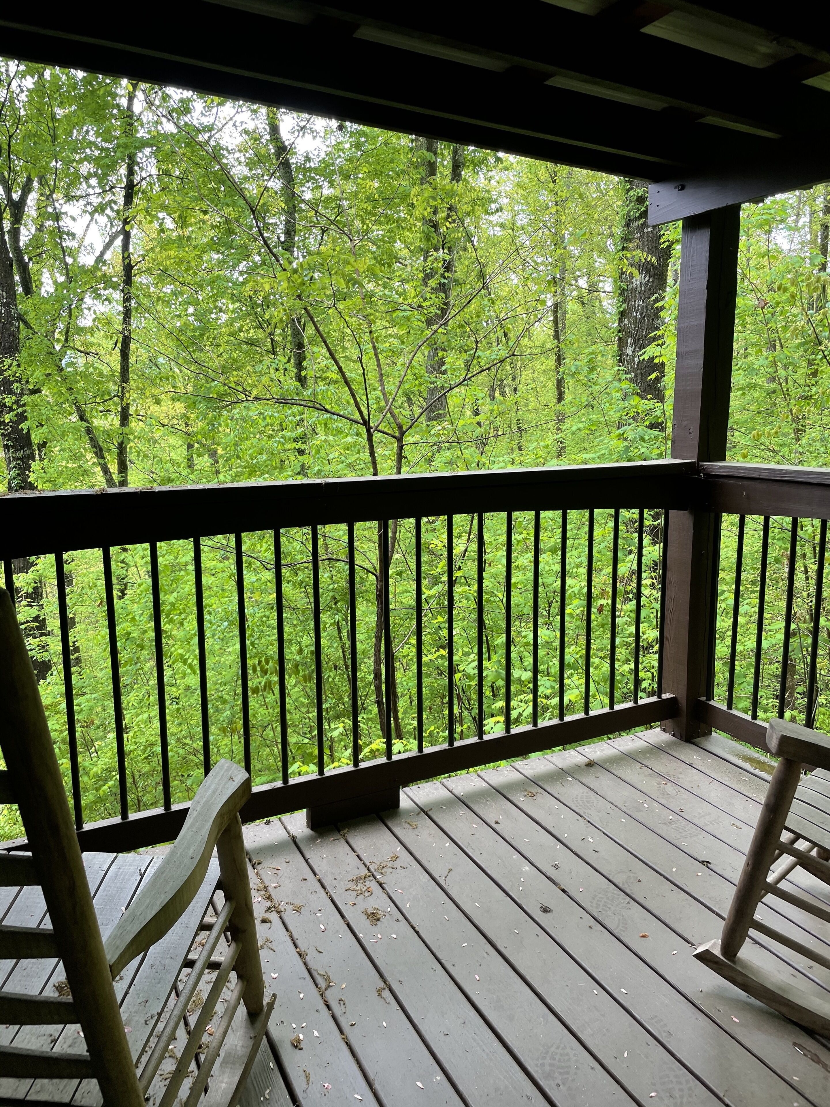 A wooden deck with a railing, overlooking a dense forest.