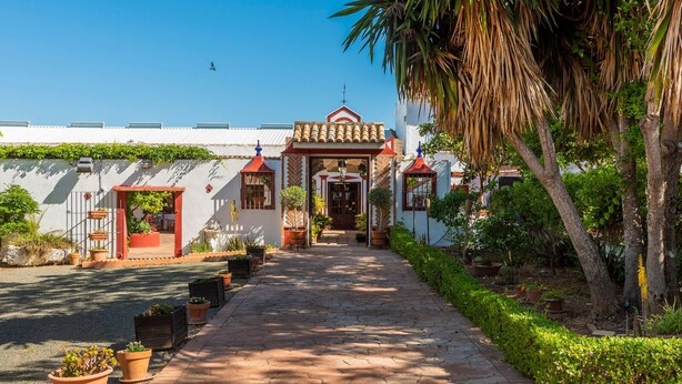 A pathway leading to a building with a red-tiled roof and a white wall. There are potted plants along the path and a palm tree to the right. - Cortijo Carrillo Antequera by Ruralidays (Málaga)