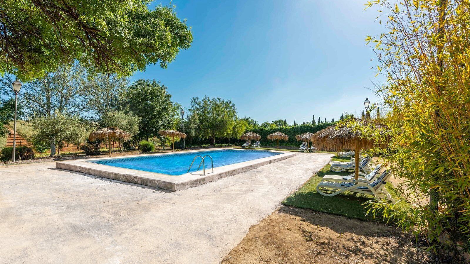 A rectangular swimming pool with a concrete deck, surrounded by trees and thatched umbrellas.