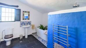 Combined shower/tub, hair dryer