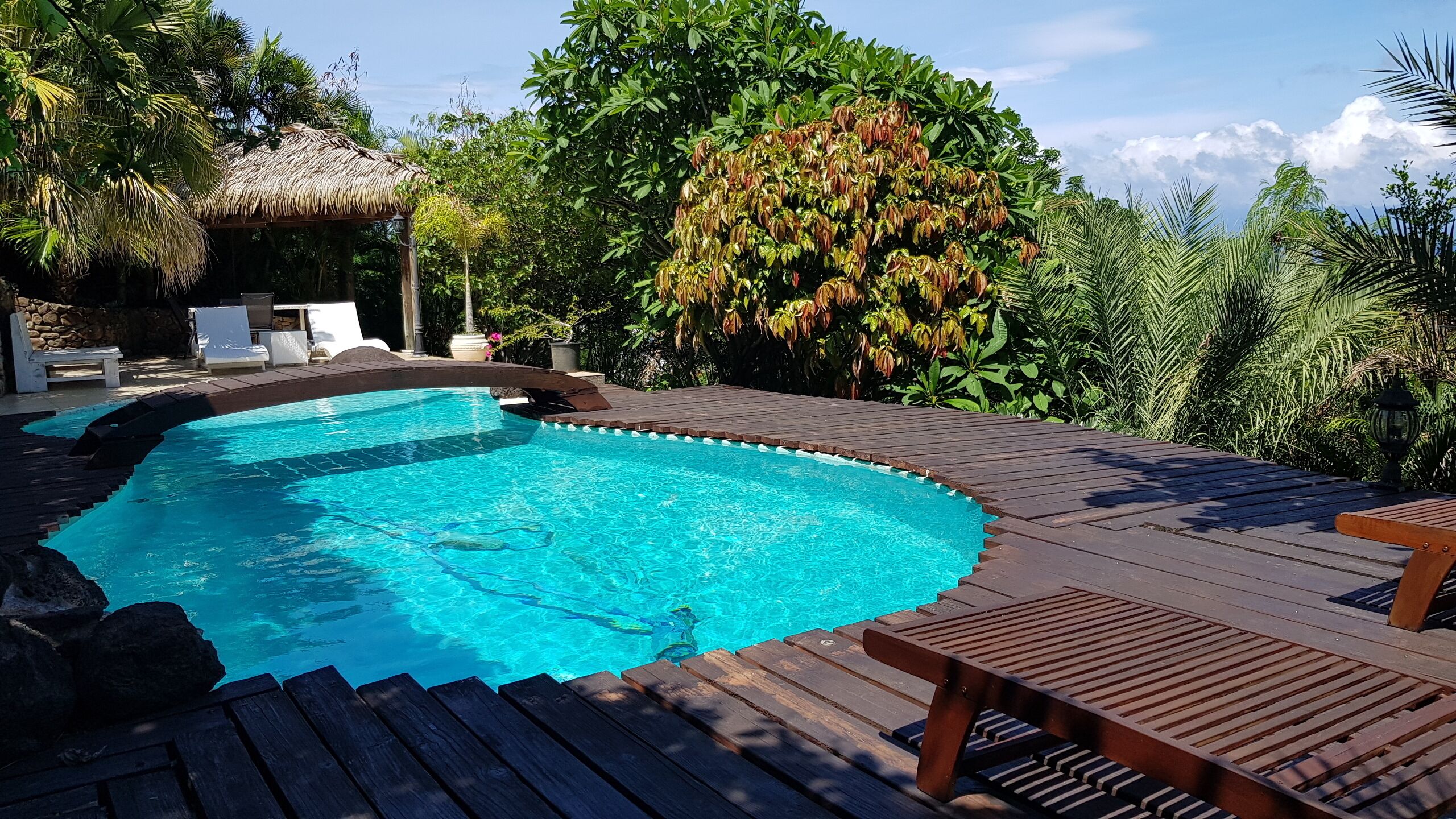 A swimming pool with wooden deck and lounge chairs, surrounded by lush greenery and a thatched-roof structure.