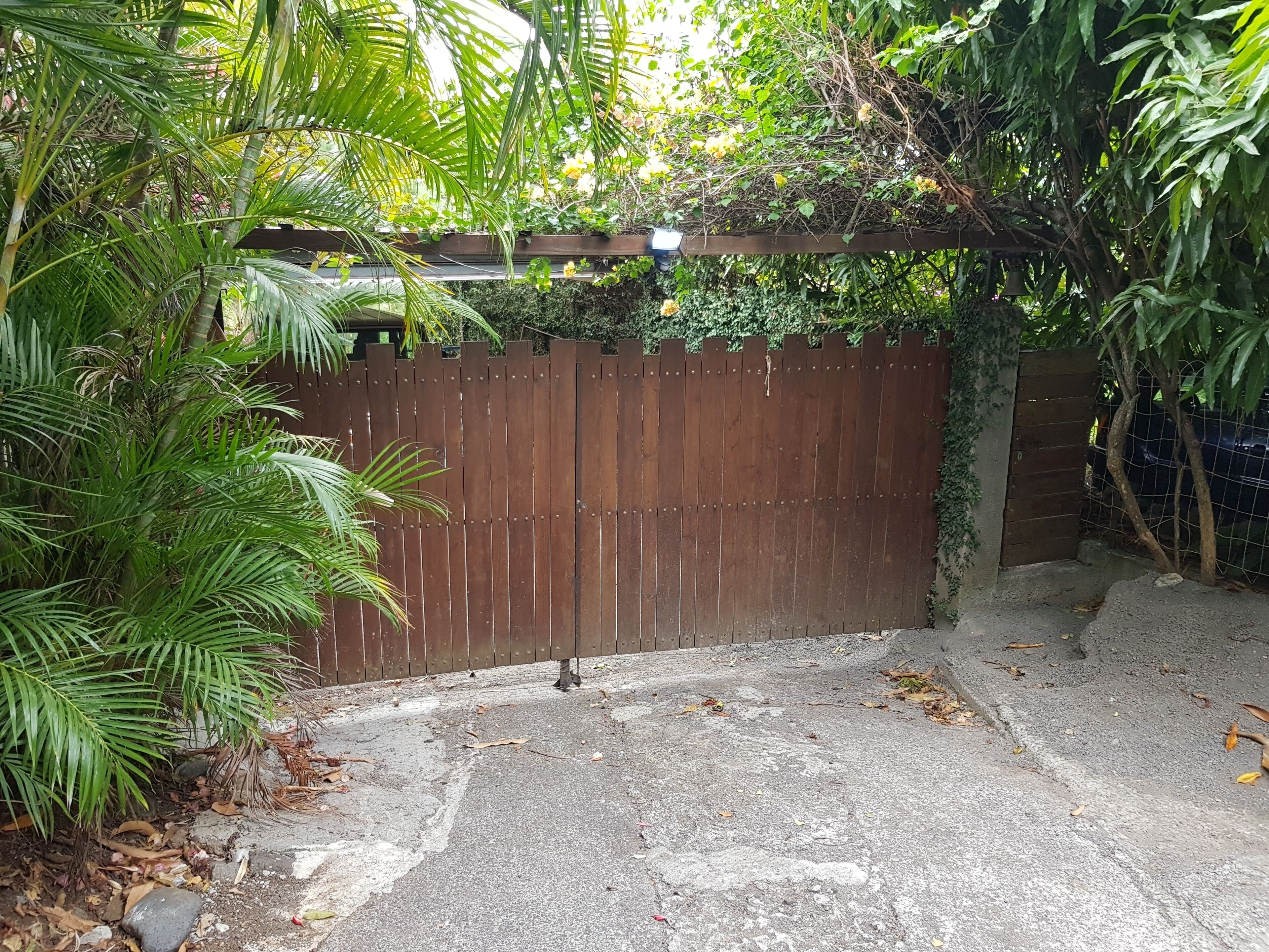 A fenced outdoor area with a concrete surface, surrounded by dense foliage and a wooden fence.