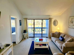 Smart TV, DVD player, books, stereo
