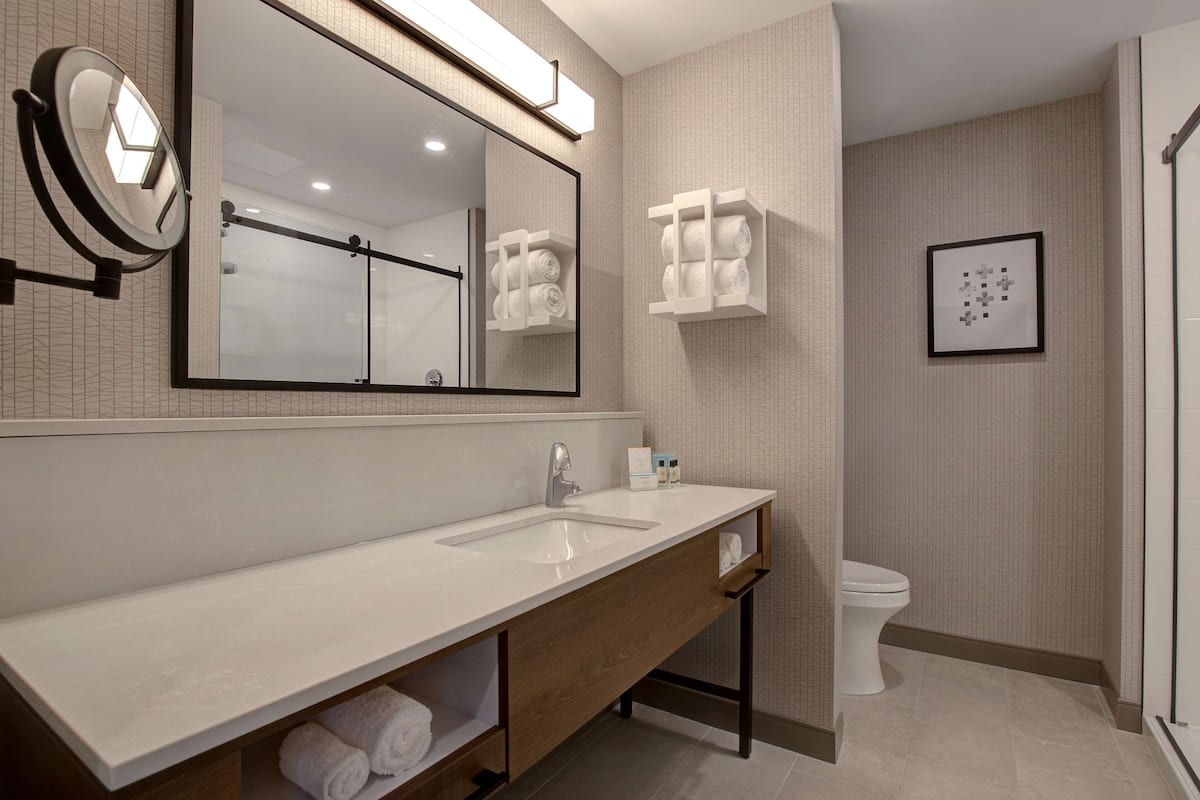 hair dryer, towels, soap, shampoo