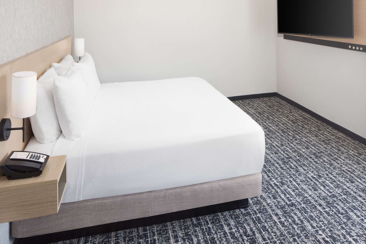 Quarto de hotel com uma cama, mesa de cabeceira com abajur e telefone, televisão de tela plana na parede e carpete estampado.