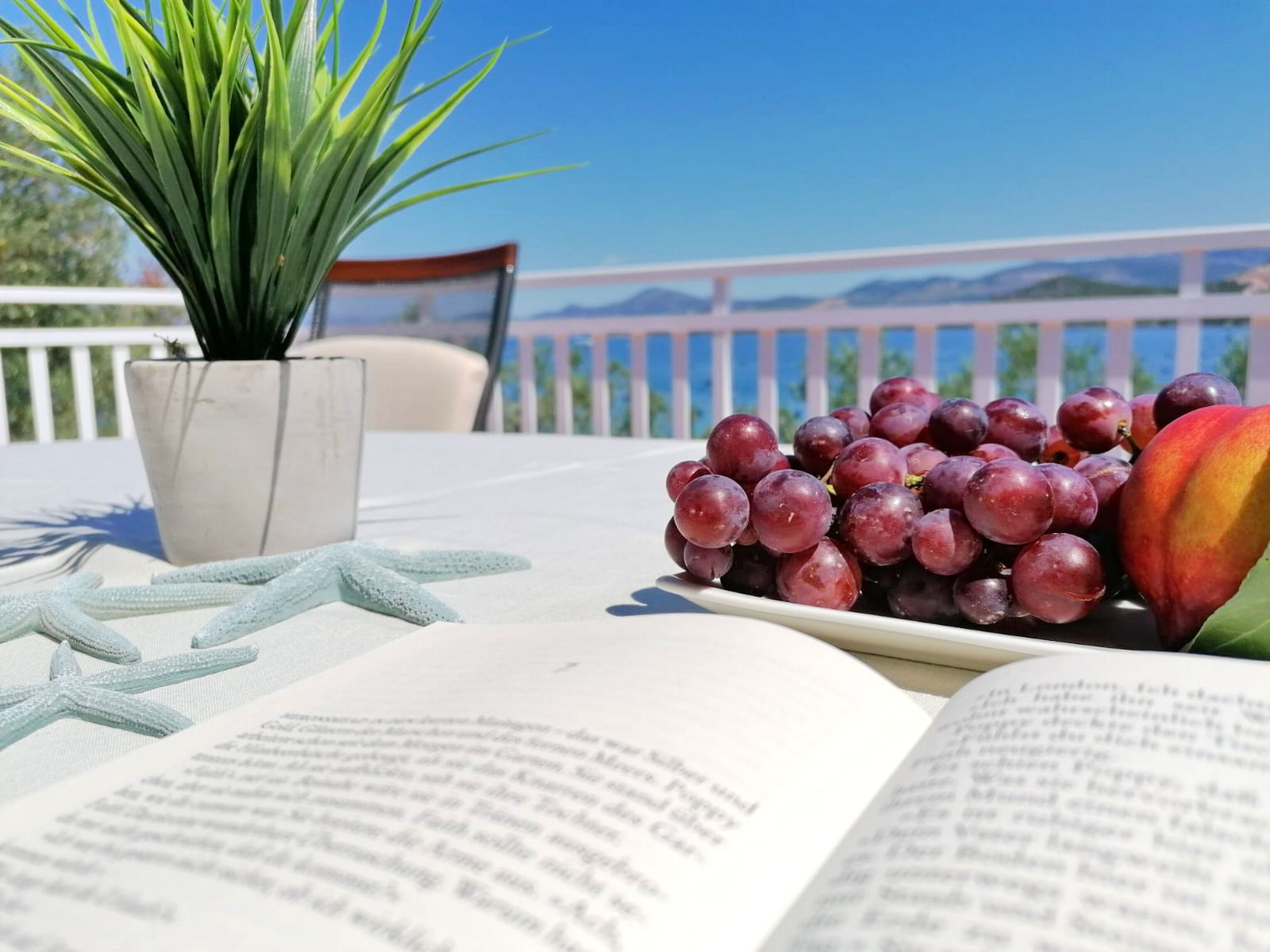 Appartement (Two Bedroom Apartment -Terrace and Se) | Terras