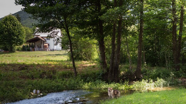 A house with a porch, surrounded by a grassy area and trees. - Holiday home Veki (Korenica)