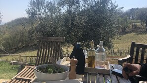 An outdoor dining area with a table set for a meal, surrounded by trees and hills.