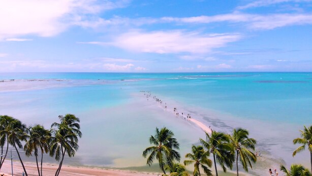 A beach with clear turquoise waters, a sandy shore, and palm trees. - Verano Pajucara By Tropicalis (Maceió)