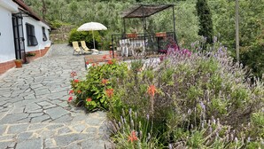 Un patio empedrado con mobiliario exterior, rodeado de abundante vegetación y plantas con flores.