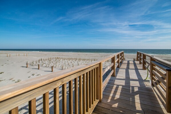 On the beach