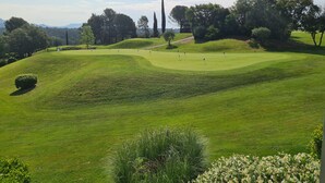 Un campo de golf con un mástil y bandera, césped cuidado y árboles al fondo.