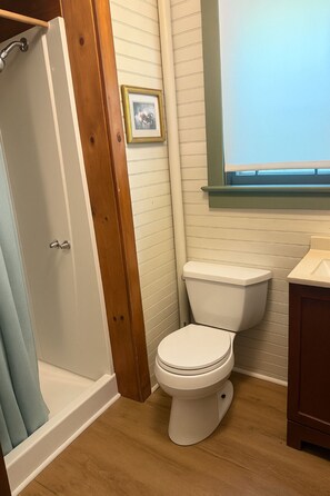 Shower, towels, toilet paper