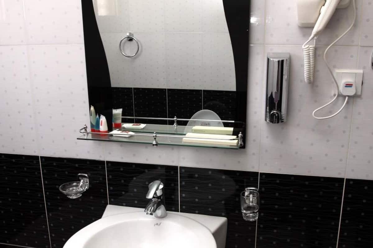 Rainfall showerhead, hair dryer, slippers, bidet