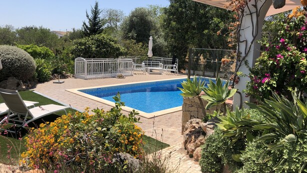 Ein Swimmingpool, umgeben von einem weißen Zaun, mit einer Terrassenfläche und verschiedenen Pflanzen.