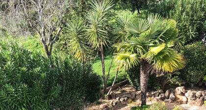 Private Villa, Hillside, Sea View in Quiet Area, Own Pool, 20 min to the Beach