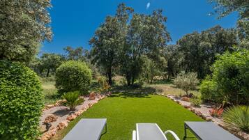 Un jardin avec une pelouse, trois chaises longues et une variété d’arbres et d’arbustes.