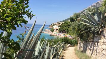 ビーチ、サンラウンジャー