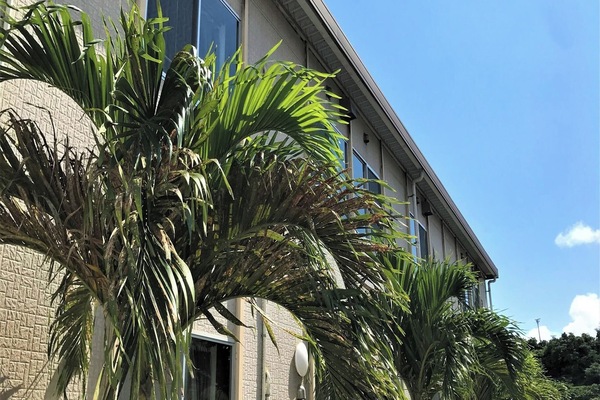 ◆We have a spacious parking lot, so it is very popular with customers who come by car.
