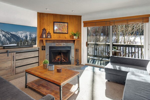 Televisión, chimenea y reproductor de DVD 