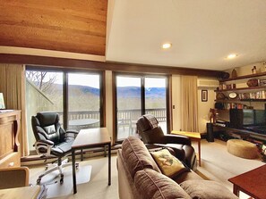 Smart TV, DVD player, books, music library