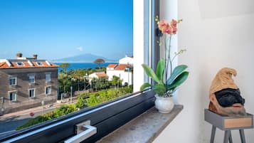 Vista dalla struttura