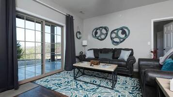 TV, fireplace, DVD player, books