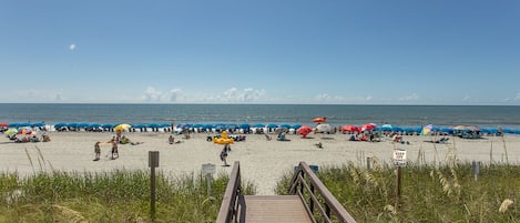 On the beach
