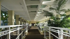 A corridor with white railings, green plants, and a ceiling with recessed lighting. - ☀️ ☀️ BEACH FRONT - BOOKING SPRING & SUMMER - BEACH CHAIR SERVICE INCLD☀️ ☀️ (Panama City Beach)