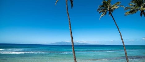 在海滩、沙滩椅、沙滩毛巾