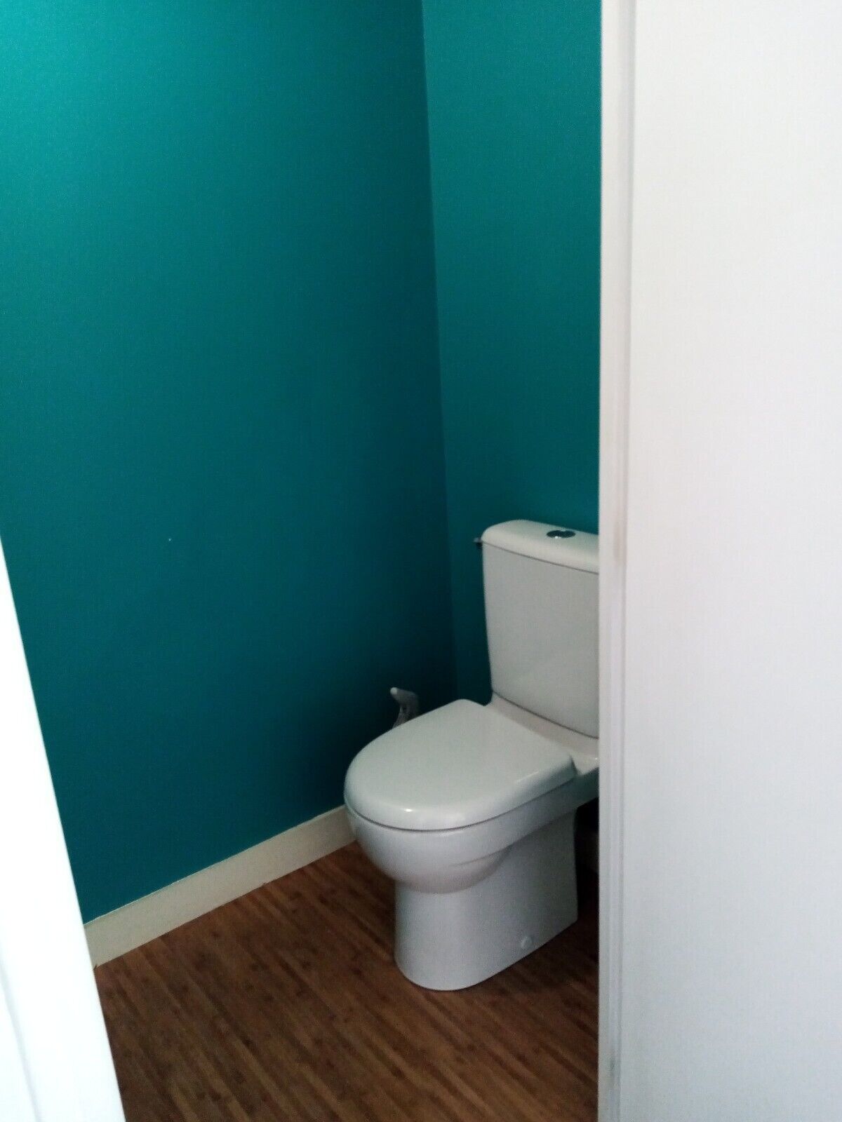 A small, narrow bathroom with teal walls and a white toilet.