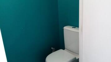 A small, narrow bathroom with teal walls and a white toilet.