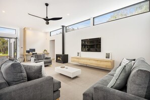 Smart TV, chimenea, reproductor de DVD y libros