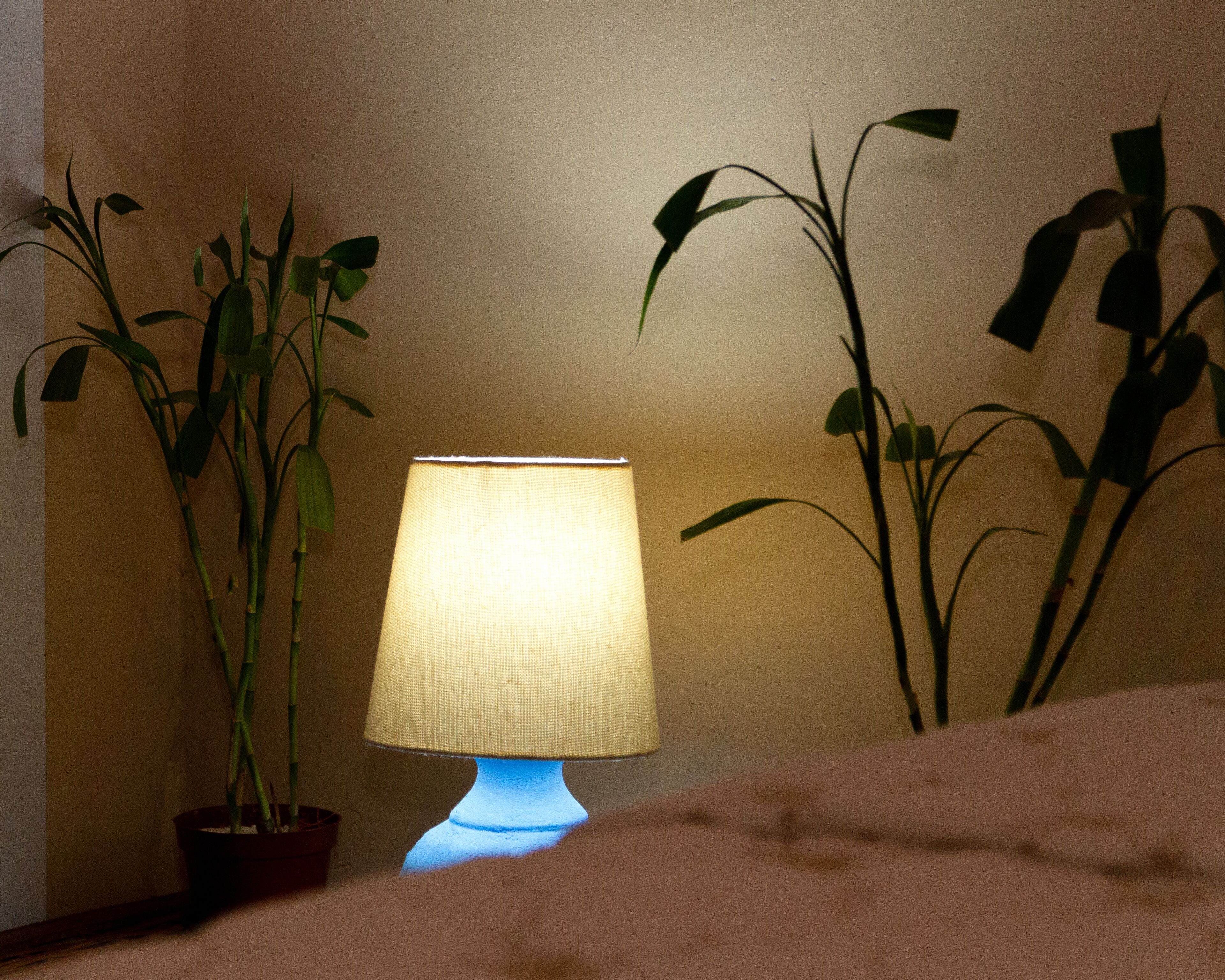 Ein Nachttisch mit Lampe, einem Blumentopf und einer weiteren Pflanze an einer Wand.
