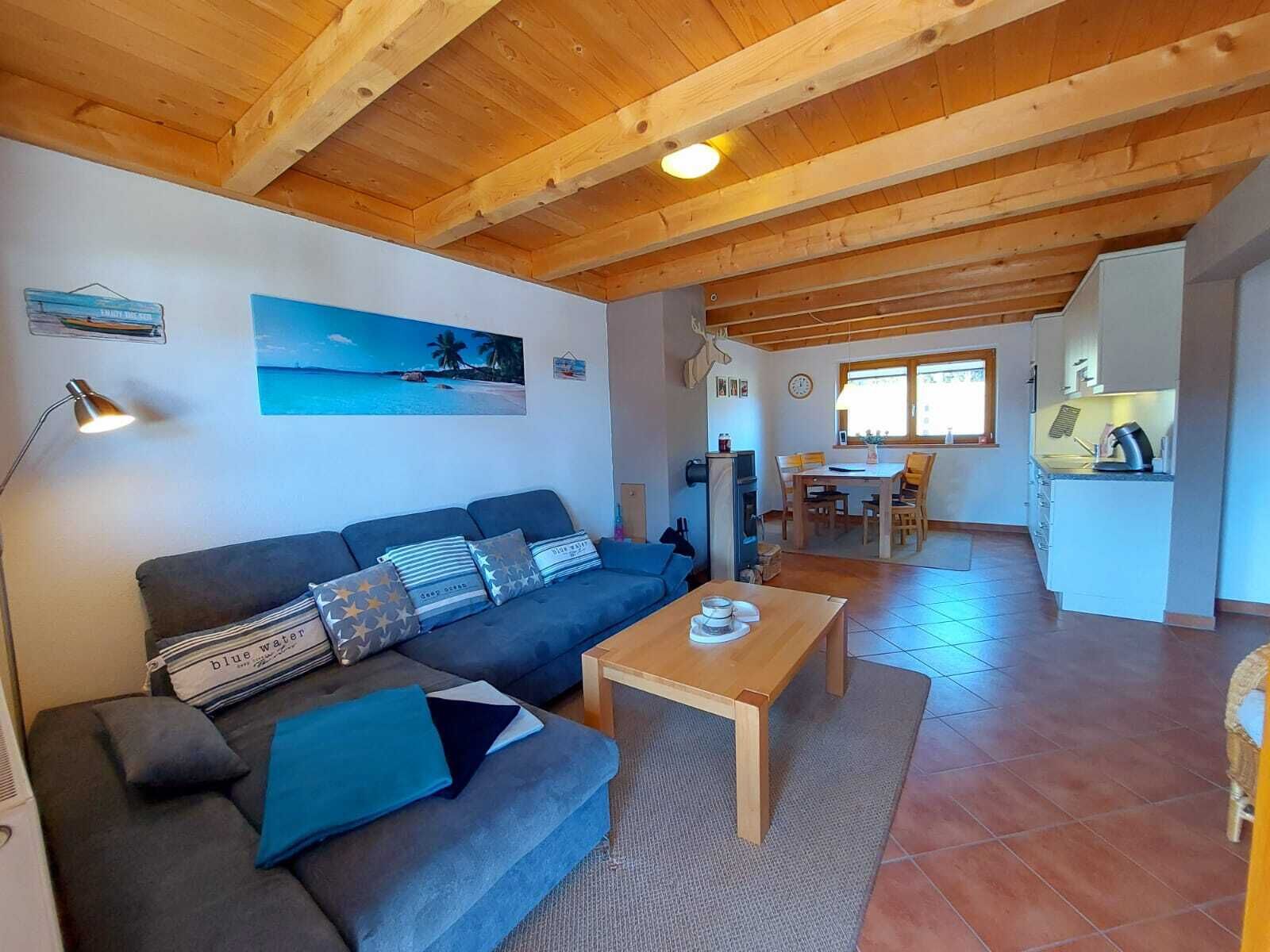 TV connectée, cheminée, lecteur de DVD