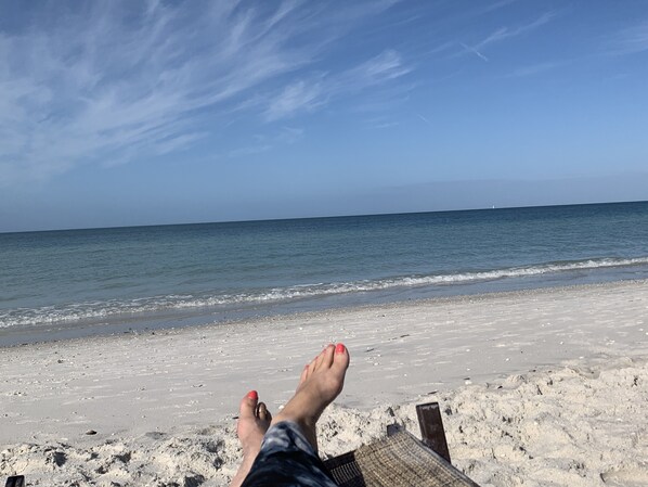 Beach nearby, beach towels - Tropical Paradise! Heated Pool & Sauna. Large very private yard. Near Everything (Palm City)