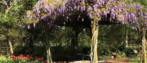 Área da propriedade