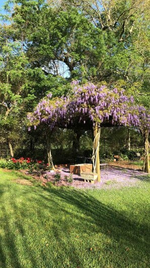 A garden with a pergola covered in purple flowers, a bench, and a well-maintained lawn. - Restored Farm House AKA "The Old House" (Picayune)