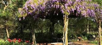 Restored Farm House AKA "The Old House"