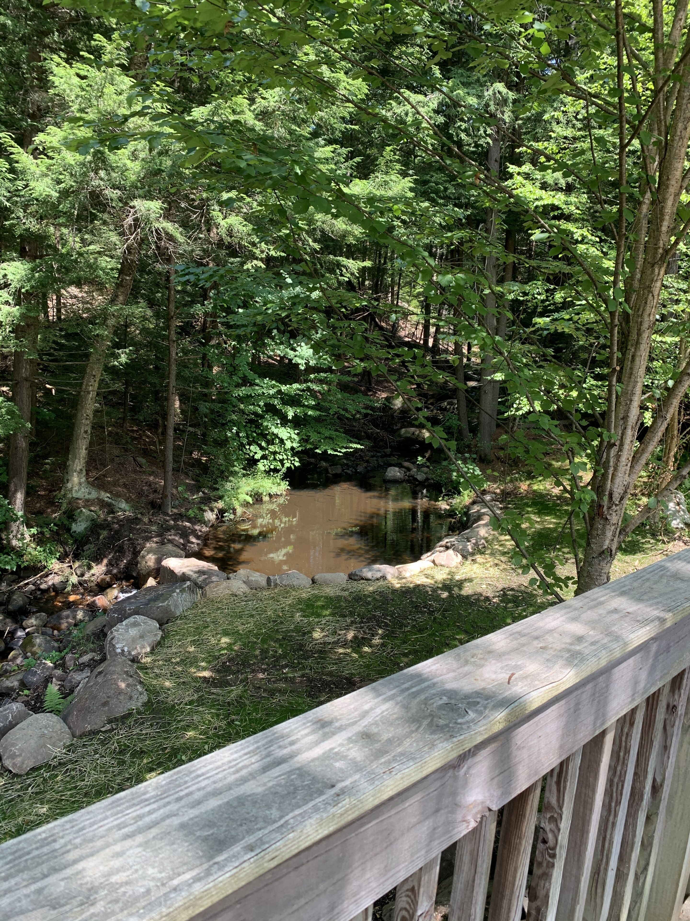 A wooden deck overlooking a forested area with a small stream.
