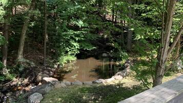 A wooden deck overlooking a forested area with a small stream.
