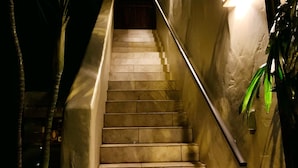 A staircase with a handrail, surrounded by walls and plants.