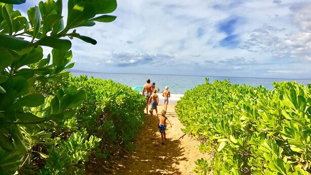 A sandy path flanked by lush green vegetation leading to a beach.