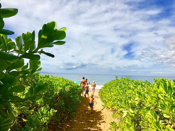Sun loungers, beach towels