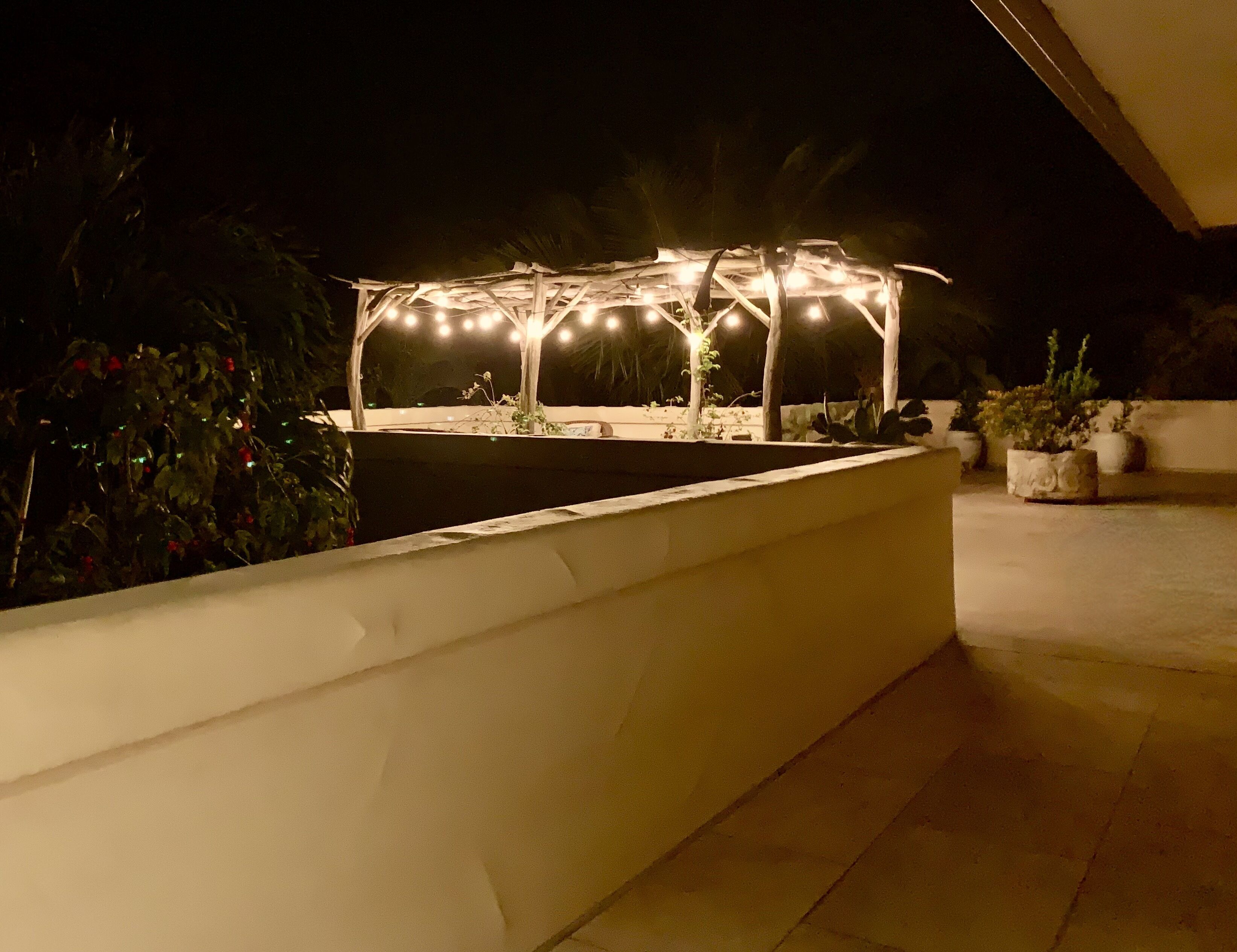 A nighttime outdoor area with a lighted pergola structure surrounded by potted plants.