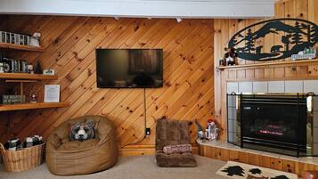 智能電視、壁爐、書籍、電腦螢幕