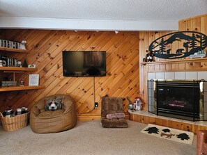 Smart TV, fireplace, books, computer monitors